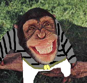 Blagues du lundi 3d704051